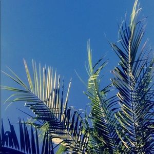 Meet your Posher, Elisa